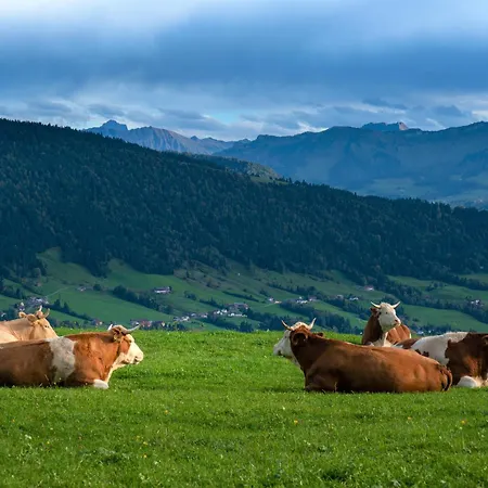 Bergliebe Mit Alpenblick Apartman *